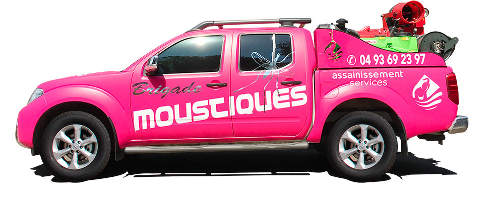 Thermonebulisation 4x4 de marque