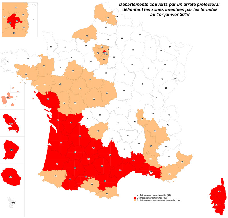 traitement_de_bois_assainissement_services